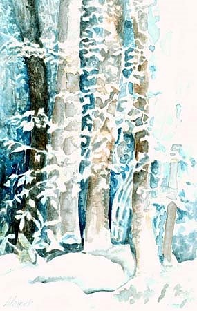 Birches In Chimneys Picnic Area