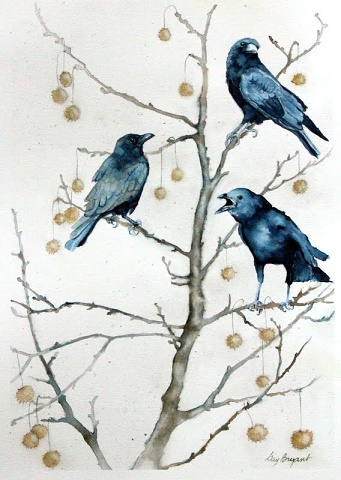 Crows--Conversation In A Sycamore Tree